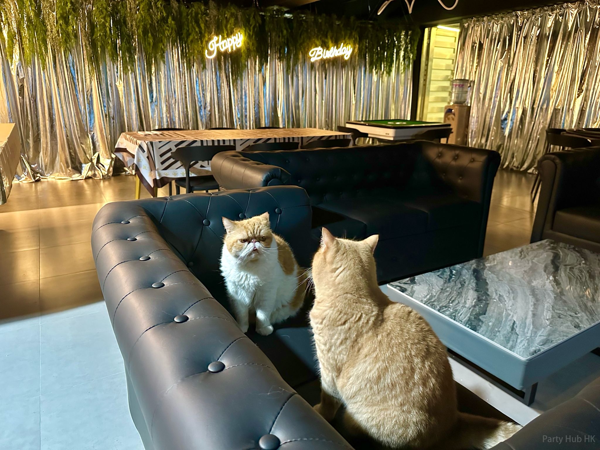 Partyroom SilverSoul BBQ-22